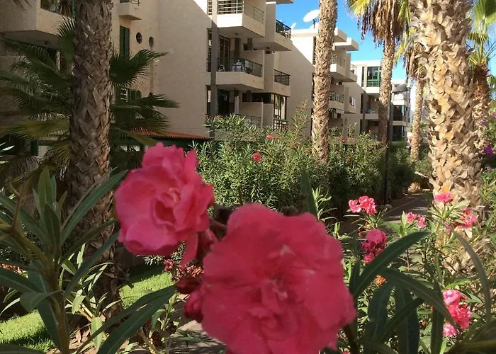 Vinas * Playa de las Américas